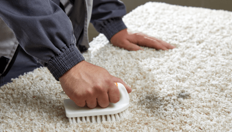 Professional Rug Cleaning Bellfield